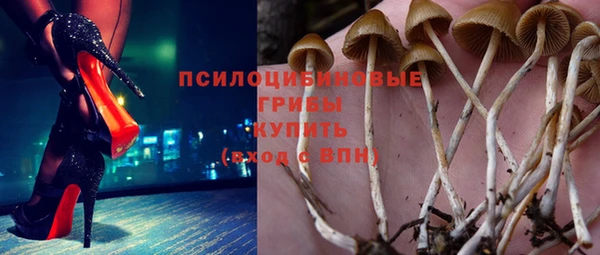экстази Ладушкин