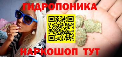 скорость Будённовск