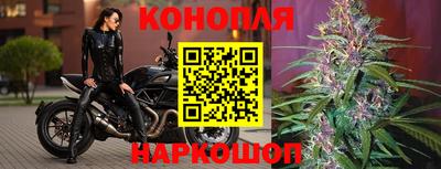прущая мука Гусев