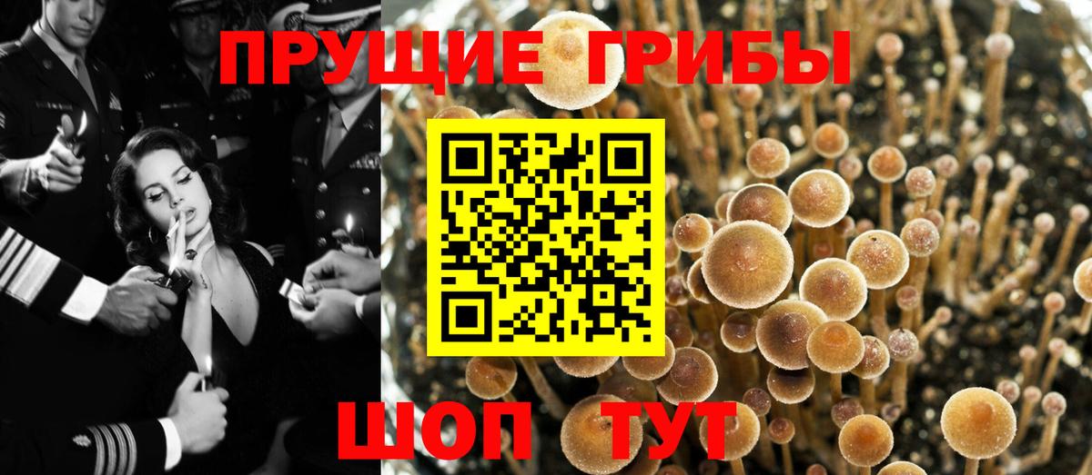 Галлюциногенные грибы Cubensis Ростов-на-Дону