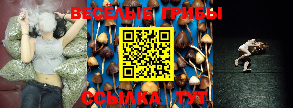 Псилоцибиновые грибы MAGIC MUSHROOMS Ростов-на-Дону